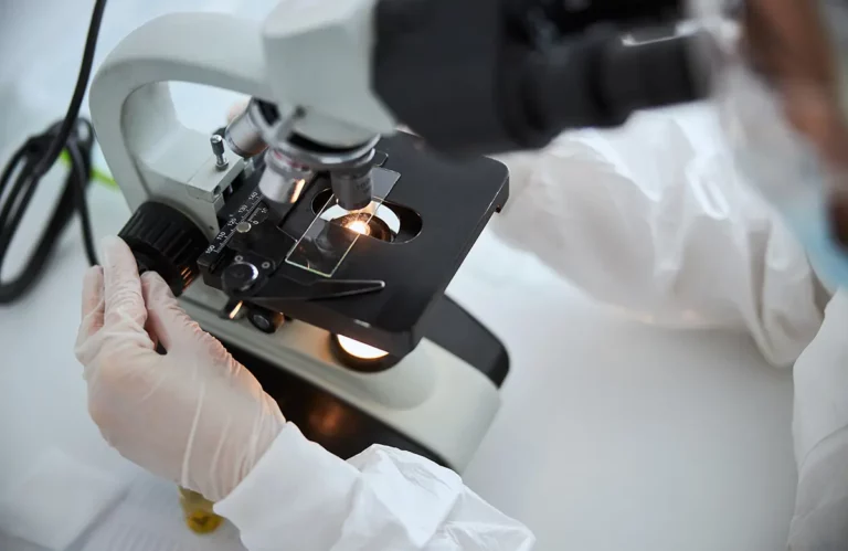 Aspectos básicos de la absorción y digestión intestinal