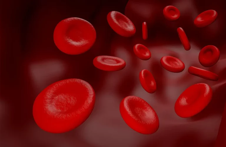 Hemorragia digestiva